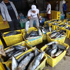 Mengapa rakyat malaysia lebih gemar makan ikan laut berbanding ikan ternakan news rojak daily. Ikan Dari Laut Indonesia Telah Diekspor Ke 157 Negara Bisnis Liputan6 Com