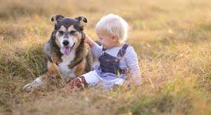 Kearley / getty images sometimes, the best name for an animal is one that references another member of the animal kingdom. 101 German Animal Names With English Translations