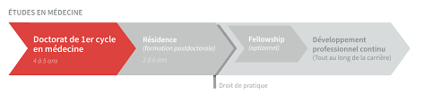 Presentation Doctorat De 1er Cycle En Medecine Etudes En Medecine Faculte De Medecine De L Universite Laval