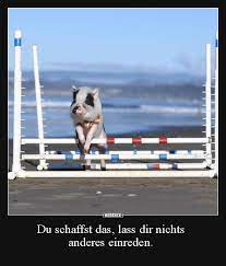Kleine reden und zitate zur verabschiedung. Du Schaffst Das Lass Dir Nichts Anderes Einreden Lustige Bilder Spruche Witze Echt Lustig
