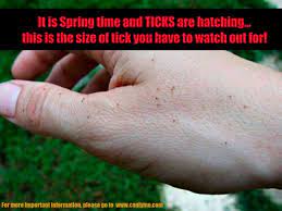 Vera etches, medical officer of health for the city of ottawa. Time To Be Tick Aware Discoverairdrie Com