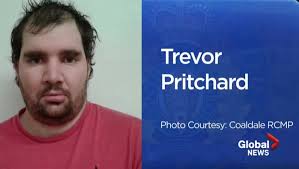 Sex offender Trevor Pritchard found guilty of sexual assault, luring and  possession of child pornography
