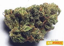 G13 was bred for maximum potency and renowned for its. G13 Haze Sorteninformationen Cannaconnection Com