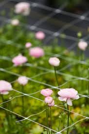 Jacksonville is a seaport city located in the state of florida. Slow Flowers Edible Northeast Florida