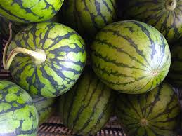Image result for Citrullus lanatus