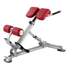 Bh fitness séduit cependant également dans le domaine de la musculation. Appareil De Fitness Pour Abdominaux L805 Bh Fitness Exercycle S L