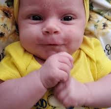 Who are the board members of the Crocker Hills Preservation Society?