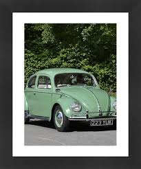 Image result for Mignonette Green 1959 Beetle