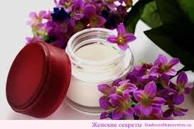 крем для лица с маслом какао в домашних условиях Krem Dlya Ruk Domashnego Prigotovleniya Prostoj Recept Zhenskie Sekrety Kremy Dlya Lica Kremy Dlya Ruk Kosmetika