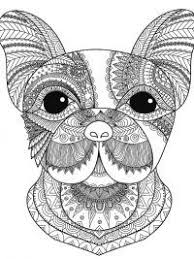 Fantastisch kleurplaat mandala dieren fotos through the thousand pictures online concerning kleurplaat mandala dieren we all choices the very best choices with best papegaaien 2 mandala. Kleurplaten Volwassenen17 Topkleurplaat Nl Mandala Kleurplaten Kleurplaten Dieren Kleurplaten