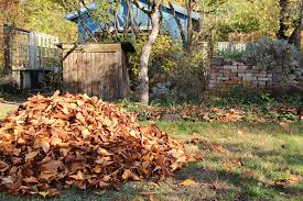 Bunt sind schon die wälder, gelb die stoppelfelder, und der herbst beginnt.. Laub Liegenlassen Und Gutes Tun Nabu