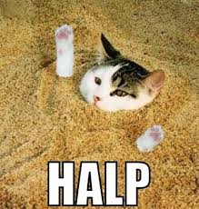 Happy friday eve everyone , yes it's the 15th! 20 Hilarious Friday Eve Memes For Everyone To Share