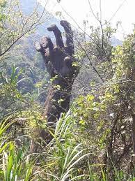 台灣的深山 也有 進擊的巨人 近日網友張基基在臉書社團 台灣機車環島美景 分享照片 引發網友熱烈討論 照片中只見一具比人大上數倍的巨人雕像 躺在荒蕪草地當中 右手還朝向天空半舉起 讓人看得匪夷所思 究竟為何會有這樣的雕像在荒山野嶺中 taiwan travel