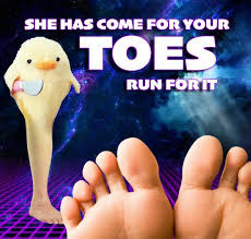 Pin By Ellis Gray On Abstract Memes Funny Memes Stupid Memes Haha Funny