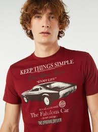 Camiseta de algodón lisa