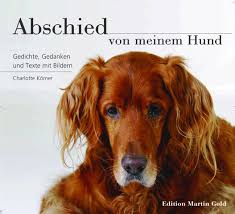 Zitate Tod Eines Hundes Wünsche Für Geburtstag