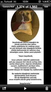 Sureyya Yalcin On Twitter Cute Animals Animals Dogs