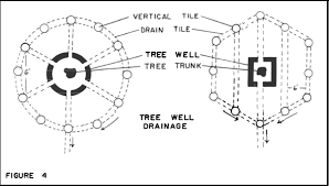Since roots are near the surface and depend on oxygen, raising the soil level around an established tree can have serious impact. Creating A Tree Well Citygreen