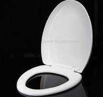 China High quality Toilet Seat and Lid Plastic Injection ...