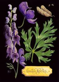 Pin On Deadly Plants