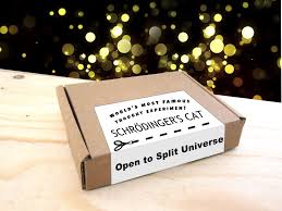 Schrodinger S Cat In A Box Enamel Pin Physics College Etsy Science Gifts Schrodingers Cat Hope Gifts