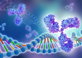 In addition to the congenital ocular symptoms, some patients suffer from other systemic symptoms, including hearing loss. Human Norrie Disease Recombinant Protein