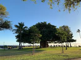 life is short the word is great - はてなブログ