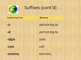 Medical Terminology.pptx