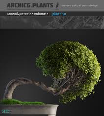 39 Bonsai Tree Model 3dmili 2021 Download 3d Model Free 3d Models 3d Model Download 3dmili 2021 Download 3d Model Free 3d Models 3d Model Download