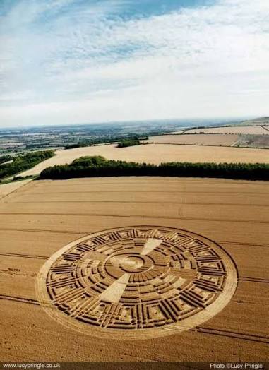 Discover 26 crop circles and crop circle patterns on fields ideas |  geometric crop circles in fields, crop circle at cocum farm, crop circle at  ockley hill and more