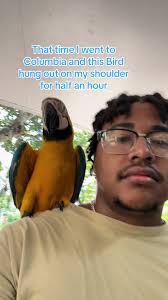 Night shift the best shift #fy #comedy #relatable #mcdonalds #fastfood...