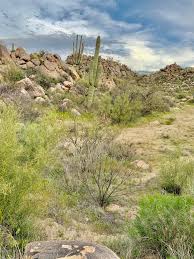 Community Golf Course Homes | Tucson Golf Estates