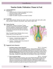 Create the digestive system shown. Teacher Guide Pollination Flower To Fruit Pages 1 3 Flip Pdf Download Fliphtml5
