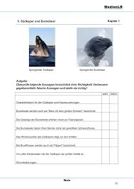 Vorstellung Verschiedener Walarten Unterrichtsmaterial Im Fach Biologie In 2020 Pottwal Buckelwal Wal