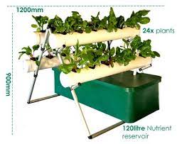 Pin On Gardening