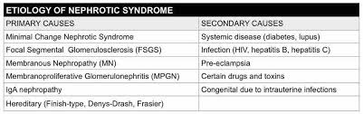 Nephrotic syndrome in children are sometimes different from. Nephrotic Syndrome Pearl Of The Day Maimonides Emergency Medicine Residency