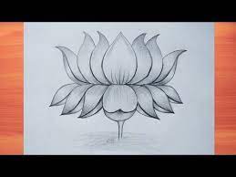 How To Draw Beautiful Lotus Flower With Pencil Muskan Drawing And Art Youtube Lotus Drawing Drawings Lotus Flower Drawing