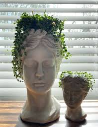 Has anyone used squrill heads? A friend of mine found sqruill head in one.