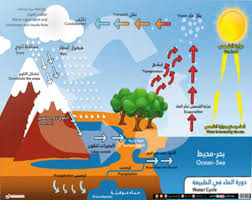 Nwf Com دورة الماء في الطبيعة دار قطاف الداني