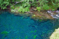 Check spelling or type a new query. Tamolitch Pool Hike Hiking In Portland Oregon And Washington