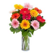 Occasions Flower Delivery Jackson Ms Whitley S Flowers Jackson Ms Occasions Flowers