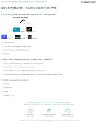 Food webs rarely begin with plants, and food chains begin with animals. Quiz Worksheet Atlantic Ocean Food Web Study Com