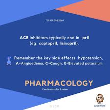 Image result for ACE Inhibitor