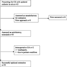 control group flow chart of anaesthetic management in 63