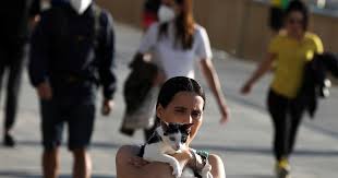 89,719 likes · 1,784 talking about this. Tech Tudomany Egy Macska Is Koronavirusos Lett Franciaorszagban Index