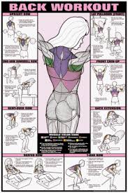 Back Workout Fitness Chart Designed Specifically For Women