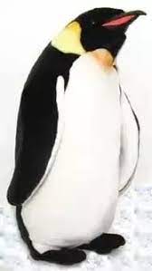 You'll need approximately 20 penguins to get the party going. Can You Legally Buy And Own A Penguin As A Pet Quora