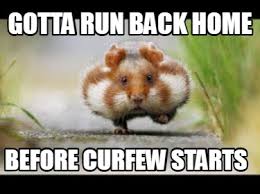 When does the 10pm curfew start? Meme Creator Funny Gotta Run Back Home Before Curfew Starts Meme Generator At Memecreator Org