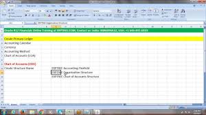 Oracle R12 Financials Training Chart Of Accounts Creation 120 Hours Classes