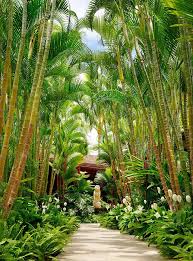 De Reus Architects Luxusresidenz Tropischer Handwerkergarten Architects Handwerkergarte Tropical Landscape Design Tropical Backyard Tropical Garden Design